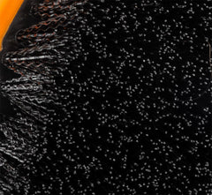 Universal brush for tyres, upholstery